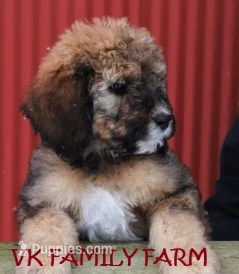 processed/e5678342-332e-4e6f-8dcb-8b86456b0e57/listing/be4b2082-20d6-4536-83e5-83bd273947fe/c812d905-6ea0-4173-b889-f6ca943bb169