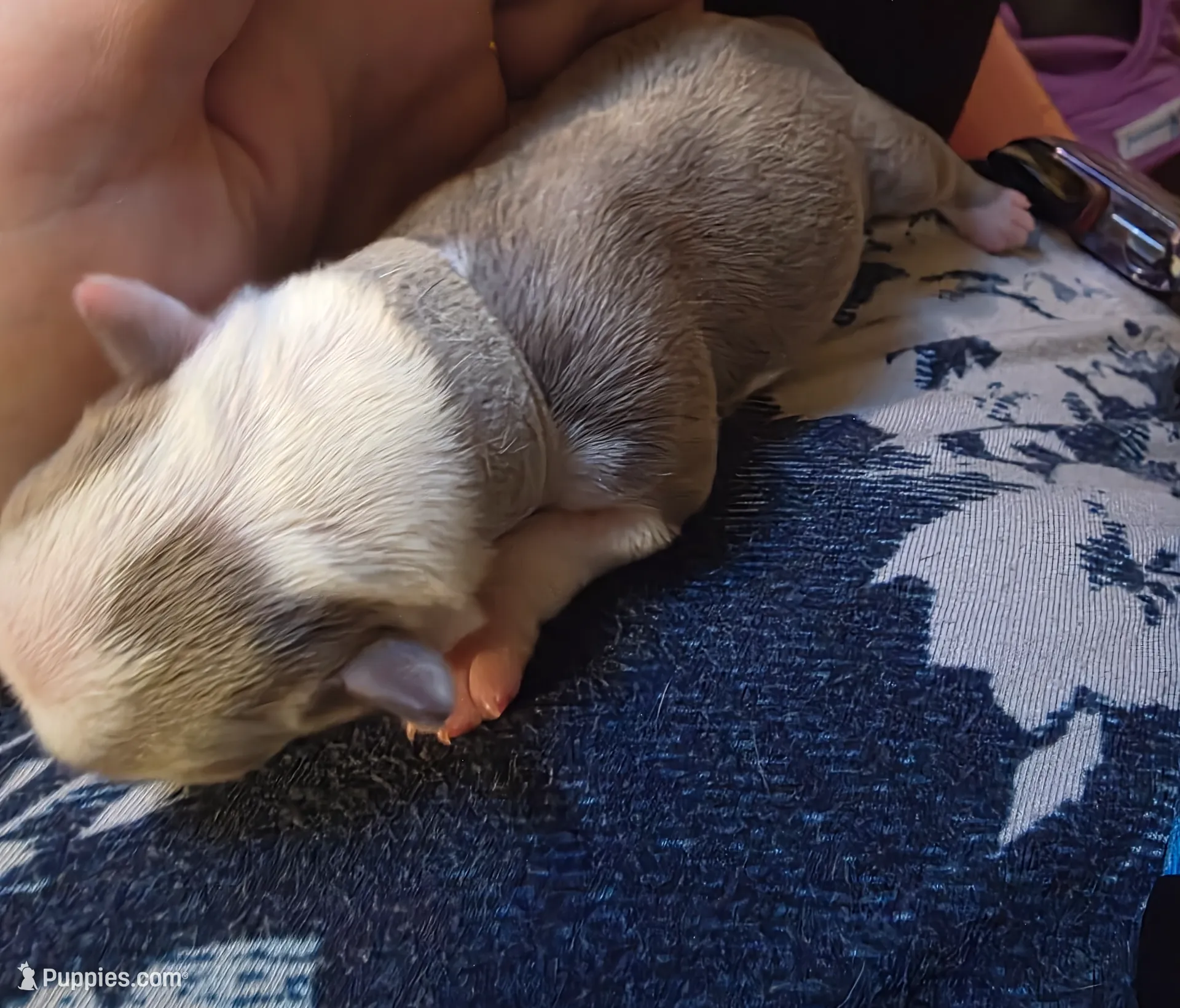 processed/e567da2d-488a-44df-a837-e50066d90ef8/listing/28579fcd-d998-465d-a734-c49715ba9248/d6c0bc7d-c4ff-4904-bdc6-e6176812b6ef