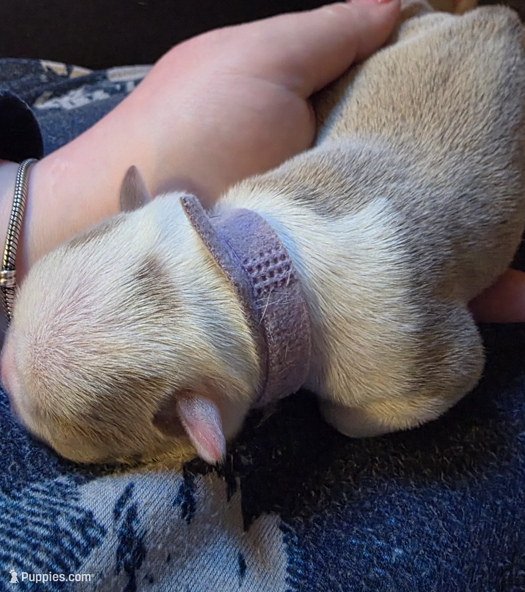 processed/e567da2d-488a-44df-a837-e50066d90ef8/listing/cf4ef1a7-3008-4637-92d1-090b8aa0e383/42669f23-edf6-40c1-8259-65a848689478