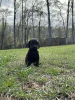 processed/e56bebcc-8ca0-43b5-b04f-1c4abd3a8d19/facility/146cc425-328a-482a-bc7b-c3ee57d292cd