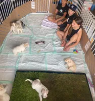 processed/e56e6ff8-a651-45a6-8694-517ae2fb336c/facility/14cbf2f6-557c-406e-a236-7037fbe37ff8