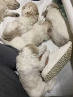 processed/e56e6ff8-a651-45a6-8694-517ae2fb336c/facility/3fd22870-a26c-4e26-b329-1cb610963016