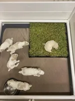 processed/e56e6ff8-a651-45a6-8694-517ae2fb336c/facility/b3409a55-b79b-42c0-89db-6baa9fe40da4