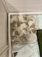 processed/e56e6ff8-a651-45a6-8694-517ae2fb336c/facility/d921b7a1-067f-48d5-bca9-32adb15491fc