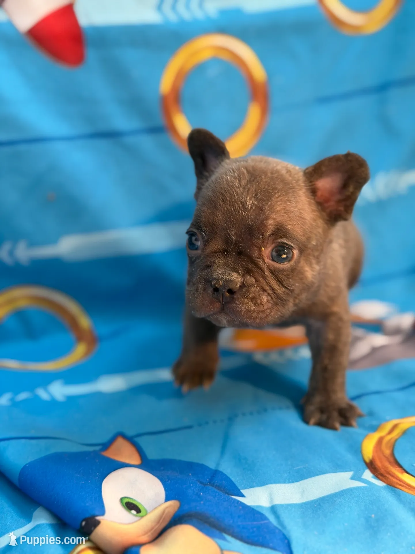 processed/e57e6d91-708c-4b0d-9c24-7019f8deae38/listing/991de3b2-a94d-4fd1-9d9a-3aa221c50a6f/93c3a7f2-cee5-48d3-9116-c3c559df0704