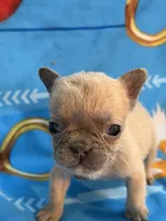 processed/e57e6d91-708c-4b0d-9c24-7019f8deae38/listing/e2f9feeb-76cf-4e92-964c-a2042d197f53/296367c0-b5e6-437b-a33d-318f2f4f9689