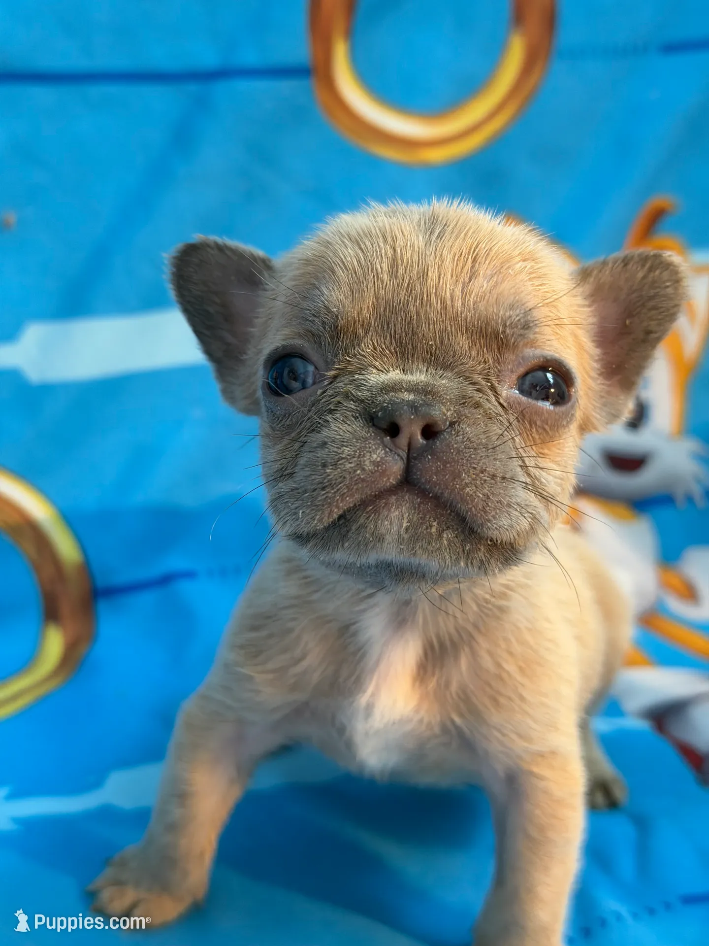 processed/e57e6d91-708c-4b0d-9c24-7019f8deae38/listing/e2f9feeb-76cf-4e92-964c-a2042d197f53/d0996a3d-1b48-428c-9f0a-a77116e303d8