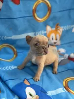 processed/e57e6d91-708c-4b0d-9c24-7019f8deae38/listing/e2f9feeb-76cf-4e92-964c-a2042d197f53/e01b324a-1b3d-4ca4-b598-e9655083c7d1