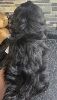 Thelma's Black Male , a male Shih Tzu for sale in Salisbury, NC – 10 of 10
