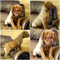 processed/e58c8a02-93b1-49fe-9ba9-1a6f95da70c6/facility/10727ad7-e55d-4683-9844-daaa95e52c87