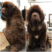 processed/e58c8a02-93b1-49fe-9ba9-1a6f95da70c6/facility/14db6492-64e0-41cb-9dec-3782aaffe462