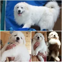 processed/e58c8a02-93b1-49fe-9ba9-1a6f95da70c6/facility/1ac8de24-379d-4458-8a4e-cab5aca773be