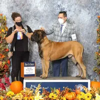 processed/e58c8a02-93b1-49fe-9ba9-1a6f95da70c6/facility/1b6e6638-73b6-4a44-ad04-5fb0a8b10cfc