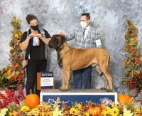 processed/e58c8a02-93b1-49fe-9ba9-1a6f95da70c6/facility/1b6e6638-73b6-4a44-ad04-5fb0a8b10cfc