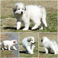 processed/e58c8a02-93b1-49fe-9ba9-1a6f95da70c6/facility/63265005-83d1-4169-99d8-903b98f73b45