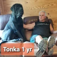 processed/e58c8a02-93b1-49fe-9ba9-1a6f95da70c6/facility/90d272f4-4260-4978-aa2c-c4a8475f0f97