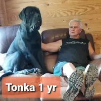 processed/e58c8a02-93b1-49fe-9ba9-1a6f95da70c6/facility/90d272f4-4260-4978-aa2c-c4a8475f0f97