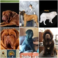 processed/e58c8a02-93b1-49fe-9ba9-1a6f95da70c6/facility/b4198a46-1441-4add-b5b2-b6fa1e63a342