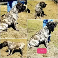 processed/e58c8a02-93b1-49fe-9ba9-1a6f95da70c6/facility/ccde6de2-546e-43e6-acd4-3b79cfd27151