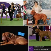 processed/e58c8a02-93b1-49fe-9ba9-1a6f95da70c6/facility/f4961eb1-b3fe-4f8f-abe1-d1b03a4ee361