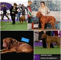 processed/e58c8a02-93b1-49fe-9ba9-1a6f95da70c6/facility/f4961eb1-b3fe-4f8f-abe1-d1b03a4ee361