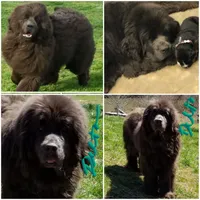 processed/e58c8a02-93b1-49fe-9ba9-1a6f95da70c6/facility/ff6f056e-4fa1-4eeb-9f05-036ad7a4d160