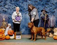 CH Snoop Dogue, a male Dogue de Bordeaux for sale in Troy, NC – 1 of 7