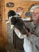 processed/e58c8a02-93b1-49fe-9ba9-1a6f95da70c6/listing/3c761b50-f82c-4836-af13-188338a4cd62/39b29e2b-cf03-421b-9dc2-ff056c592fe5