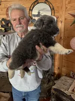 processed/e58c8a02-93b1-49fe-9ba9-1a6f95da70c6/listing/3c761b50-f82c-4836-af13-188338a4cd62/55315495-8a87-4ce8-ba5d-fd9df7e1e68d