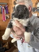 processed/e58c8a02-93b1-49fe-9ba9-1a6f95da70c6/listing/3c761b50-f82c-4836-af13-188338a4cd62/7b35a312-1bbd-42e6-822c-21f6a3b4486f