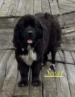 processed/e58c8a02-93b1-49fe-9ba9-1a6f95da70c6/listing/3c761b50-f82c-4836-af13-188338a4cd62/8a9451d9-e5b1-4a95-bfec-43f8bf340d4b