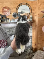 processed/e58c8a02-93b1-49fe-9ba9-1a6f95da70c6/listing/3c761b50-f82c-4836-af13-188338a4cd62/9efb23cc-a8ac-4081-b2e8-d3e7711fda65