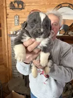 processed/e58c8a02-93b1-49fe-9ba9-1a6f95da70c6/listing/3c761b50-f82c-4836-af13-188338a4cd62/d309c19d-3d3d-45f1-abda-94cf0dc4834d