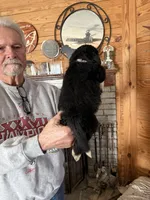 processed/e58c8a02-93b1-49fe-9ba9-1a6f95da70c6/listing/583b5906-37c2-48d6-894e-b57ce1d311b6/18f319dc-01a4-401e-8423-c99a763519bd