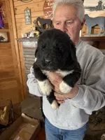 processed/e58c8a02-93b1-49fe-9ba9-1a6f95da70c6/listing/583b5906-37c2-48d6-894e-b57ce1d311b6/1e80a9a6-caf1-429e-a0ae-eea0cc6ceb5d