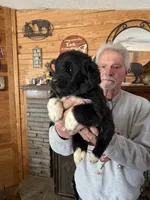 processed/e58c8a02-93b1-49fe-9ba9-1a6f95da70c6/listing/583b5906-37c2-48d6-894e-b57ce1d311b6/3e707f3b-b598-47c8-8824-40dc7b62403a