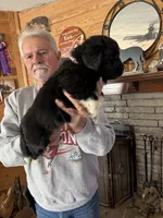 processed/e58c8a02-93b1-49fe-9ba9-1a6f95da70c6/listing/583b5906-37c2-48d6-894e-b57ce1d311b6/93c46974-f99d-46b8-ab38-d15af7e2d9e2