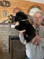 processed/e58c8a02-93b1-49fe-9ba9-1a6f95da70c6/listing/583b5906-37c2-48d6-894e-b57ce1d311b6/a03266de-1020-4dc5-808a-1678b04aae9d