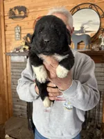 processed/e58c8a02-93b1-49fe-9ba9-1a6f95da70c6/listing/583b5906-37c2-48d6-894e-b57ce1d311b6/df8fce73-4a6f-4ed7-9fda-b310a3f3ac5e