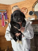 processed/e58c8a02-93b1-49fe-9ba9-1a6f95da70c6/listing/92faa40f-0118-45b5-bee4-01152c9c9abd/123e6260-6c66-4c69-a1ab-1e878434c569