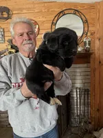 processed/e58c8a02-93b1-49fe-9ba9-1a6f95da70c6/listing/92faa40f-0118-45b5-bee4-01152c9c9abd/342c2e8a-ecca-4135-987e-3c4617067136