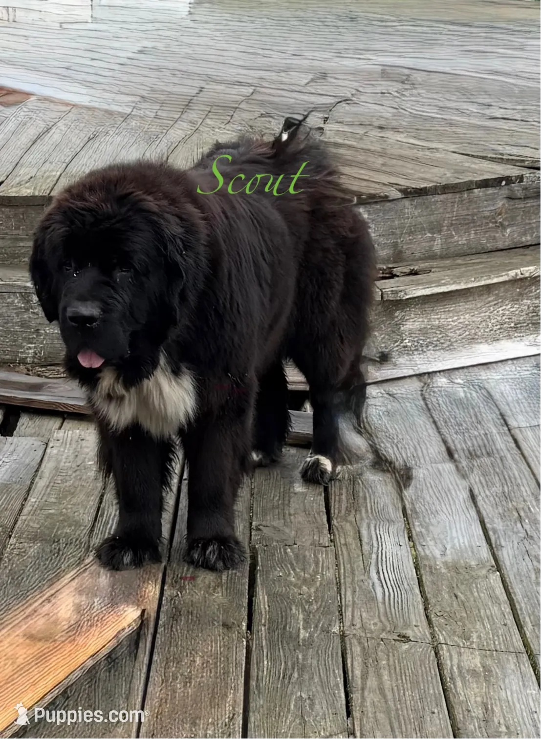 processed/e58c8a02-93b1-49fe-9ba9-1a6f95da70c6/listing/92faa40f-0118-45b5-bee4-01152c9c9abd/6b388caf-52b3-4340-8fb3-7153ecf8efdc