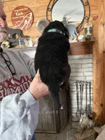 processed/e58c8a02-93b1-49fe-9ba9-1a6f95da70c6/listing/92faa40f-0118-45b5-bee4-01152c9c9abd/e0a625f2-f1a4-4d69-92fd-a99445362cea