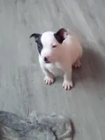 processed/e593dd21-ca74-4fd8-bd51-daeba9453a6f/listing/0efb779d-7c5e-40ed-875a-ebc2054e18d8/3f489090-7693-4c16-8752-3d240bd7d0c2