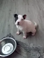 processed/e593dd21-ca74-4fd8-bd51-daeba9453a6f/listing/0efb779d-7c5e-40ed-875a-ebc2054e18d8/c457b1f1-e853-4929-87f6-cd41c60b4d8d