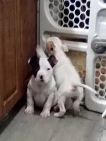 processed/e593dd21-ca74-4fd8-bd51-daeba9453a6f/listing/0efb779d-7c5e-40ed-875a-ebc2054e18d8/f9509837-659b-41b9-81a8-365c6044db06