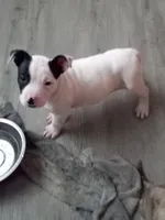 processed/e593dd21-ca74-4fd8-bd51-daeba9453a6f/listing/0efb779d-7c5e-40ed-875a-ebc2054e18d8/fde67119-f8f4-4465-aeac-fb320b3f3d30