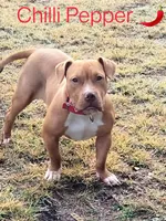 processed/e593dd21-ca74-4fd8-bd51-daeba9453a6f/listing/14d835d7-7a71-4b71-9f2b-bbacc753094b/026556a2-85aa-486c-a4b5-b00240ad894a