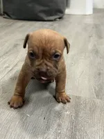 processed/e593dd21-ca74-4fd8-bd51-daeba9453a6f/listing/14d835d7-7a71-4b71-9f2b-bbacc753094b/923867d2-7c73-4087-ad08-9ea4d8097fc9