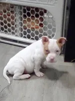 processed/e593dd21-ca74-4fd8-bd51-daeba9453a6f/listing/18a92a8d-3885-4625-959e-295e336bc5e6/1609fb94-d0ea-43d2-8cee-6d57c7219983